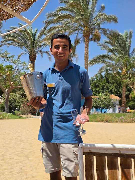 Gartenanlage Desert Rose