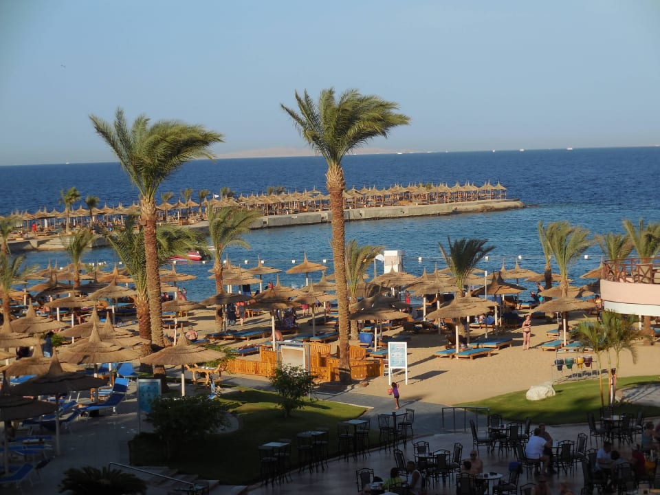 Traumausblick Beach Albatros Resort