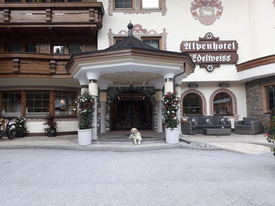 Lobby Vitalhotel Edelweiss