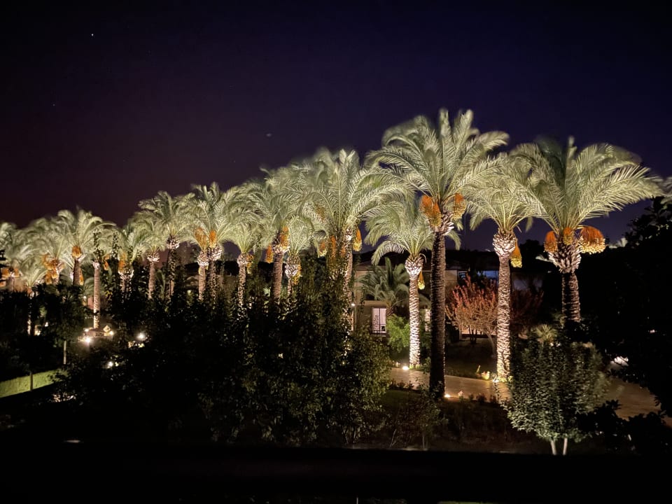 Gartenanlage TUI BLUE Palm Garden