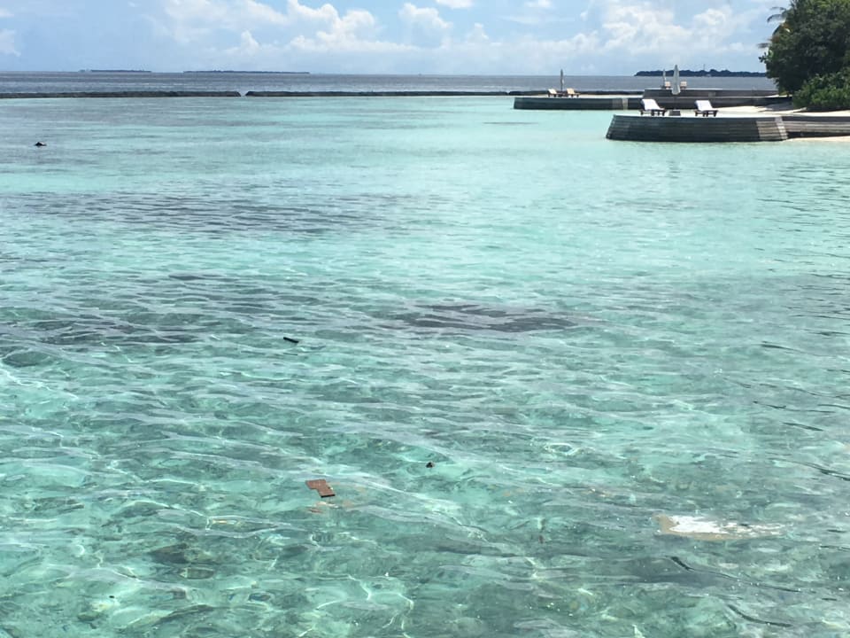 Strand Baros Maldives Resort