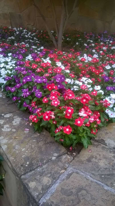 Kwiaty Hotel Duni Royal Belleville