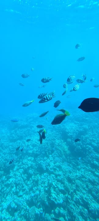 Sport & Freizeit Cleopatra Luxury Resort Makadi Bay