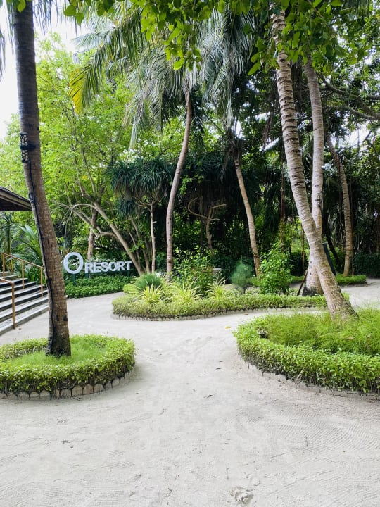 Gartenanlage Kuredu Island Resort & Spa