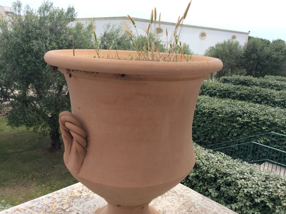 Balkonbegrünung Acaya Golf Resort & Spa