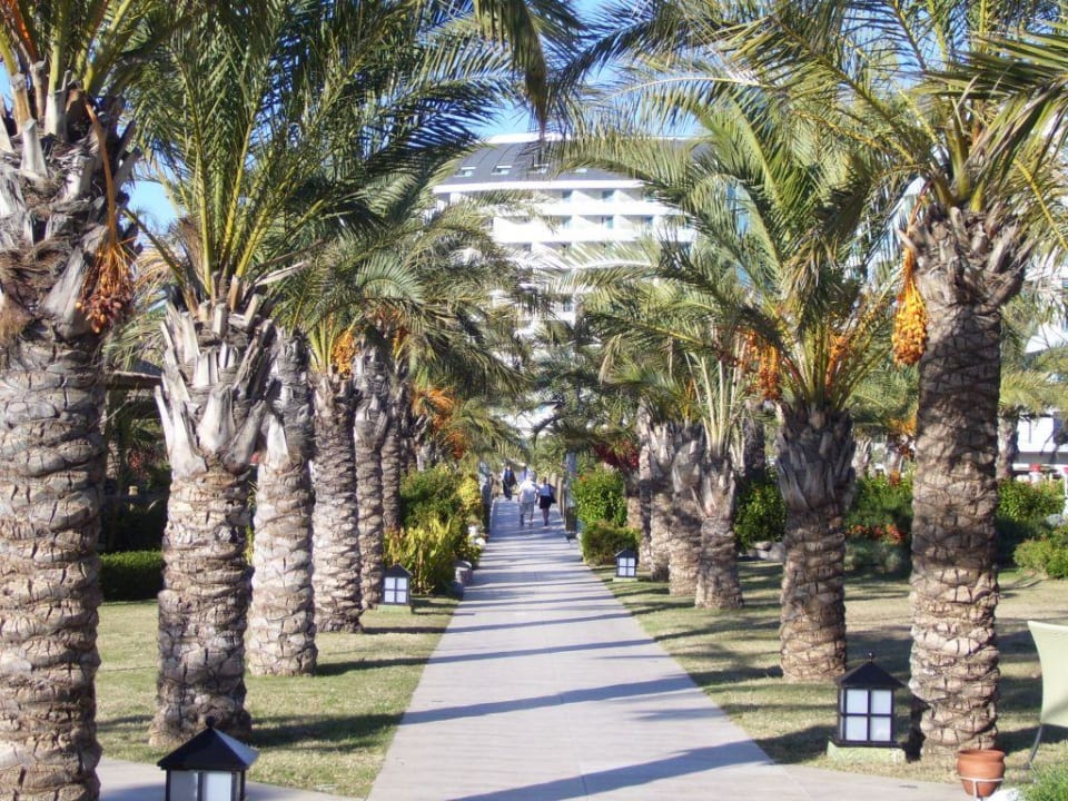 Hotalanlage Royal Wings Hotel