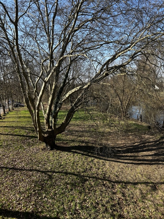 Ausblick BollAnts Spa im Park