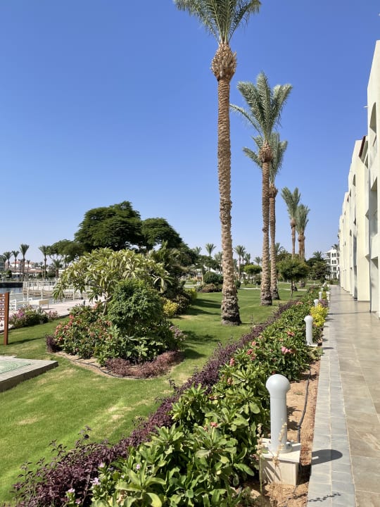 Gartenanlage Pickalbatros Dana Beach Resort - Hurghada
