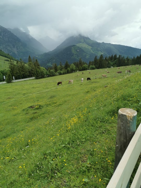 Ausblick Oberjoch - Familux Resort