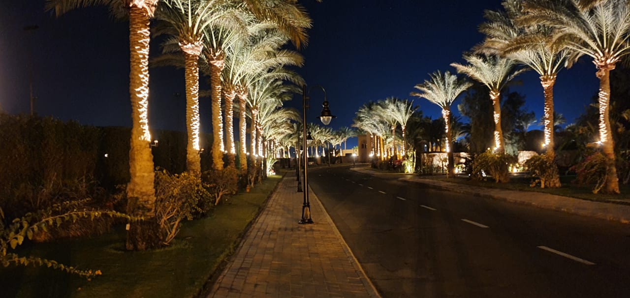 Garten Steigenberger Coraya Beach - Adults only