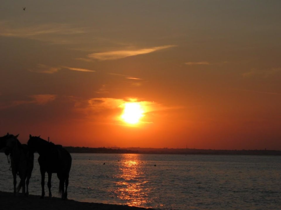 Zachód słońca Ruspina Beach Resort