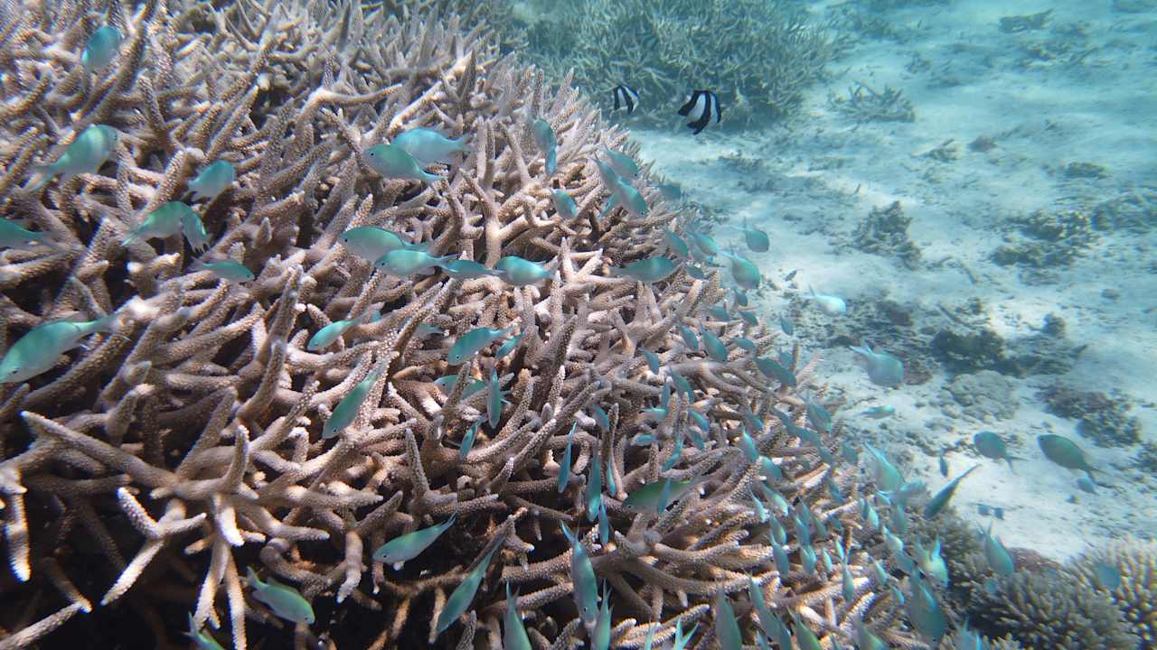 Strand Le Peninsula Bay Beach Resort & Spa