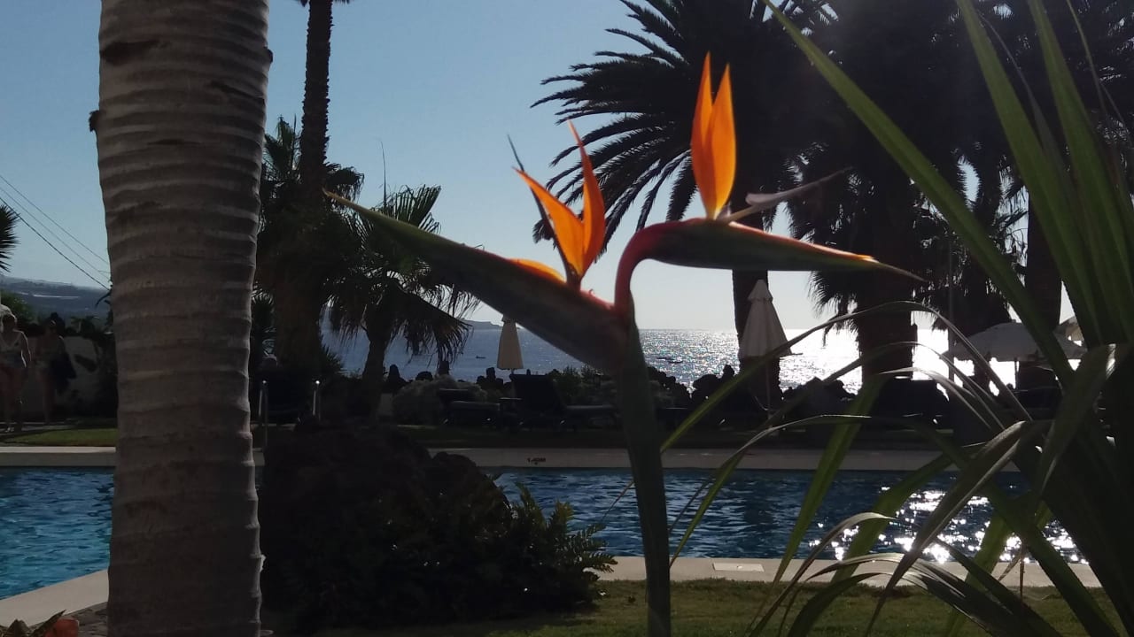 Blick vom Restaurant OCÉANO Health Spa Hotel