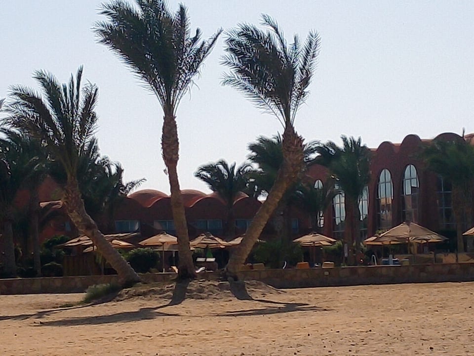 Gartenanlage Novotel Marsa Alam Beach Resort