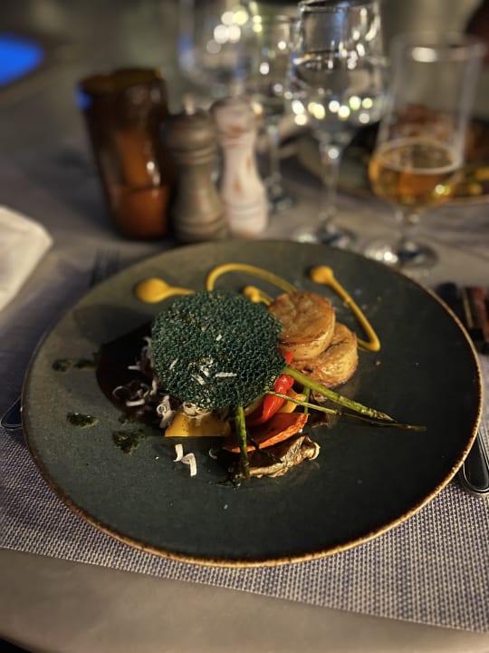 Gastro JAZ Elite Casa del Mar Beach