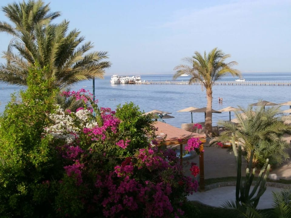 Strand Golden Beach Resort