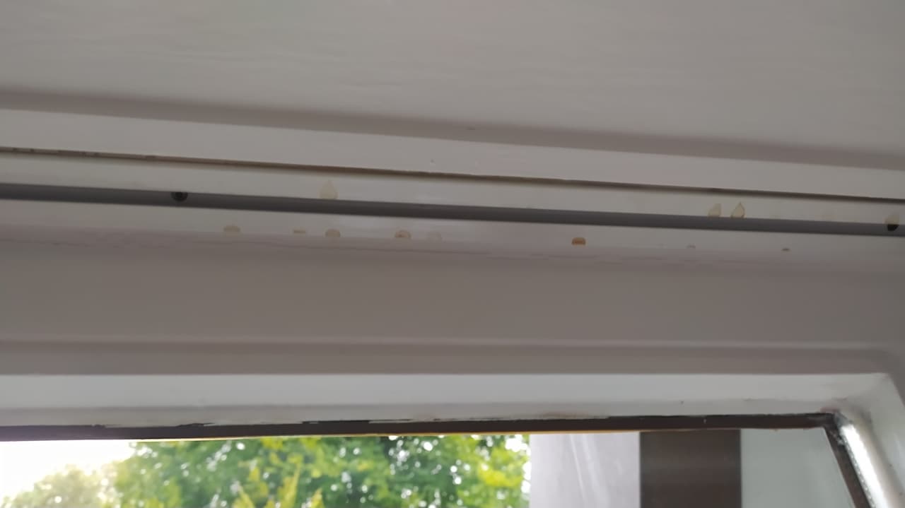 Zimmer Amber Hotel Bavaria