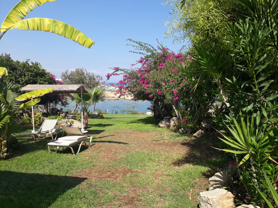 Gartenanlage Crystal Springs Beach Hotel