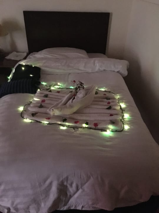 Zimmer Three Corners Sea Beach Resort