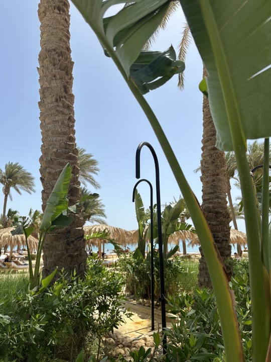 Gartenanlage Serry Beach Resort