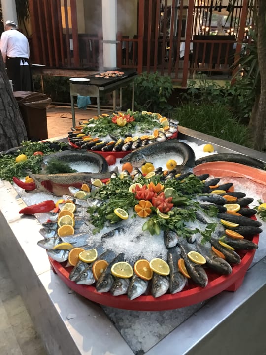 Gastro ROBINSON ÇAMYUVA