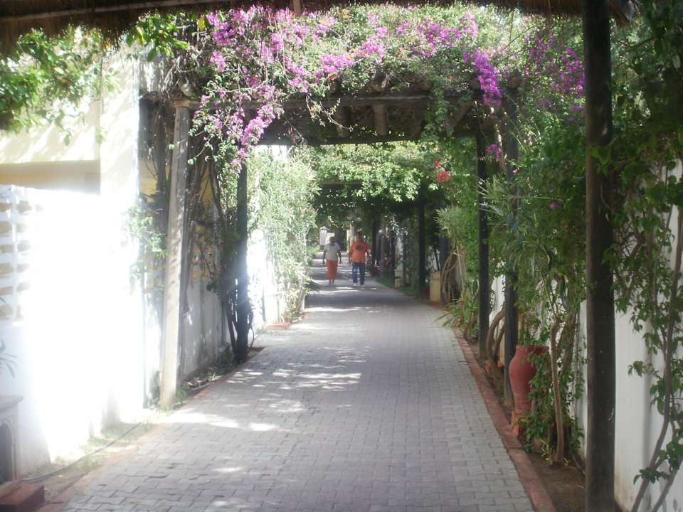 Weg zum Strand Hotel Nesrine