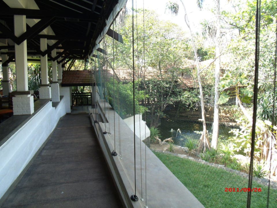 Gartenweg Club Hotel Dolphin