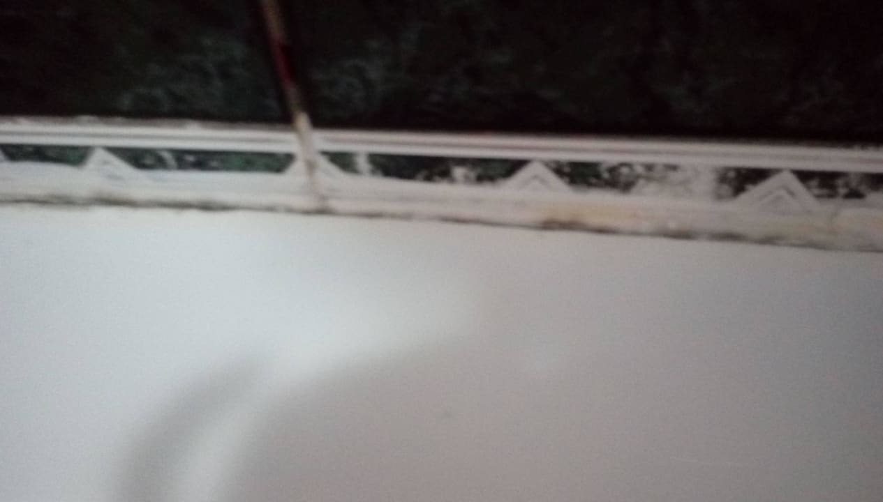 Schimmel Ole Tropical Tenerife