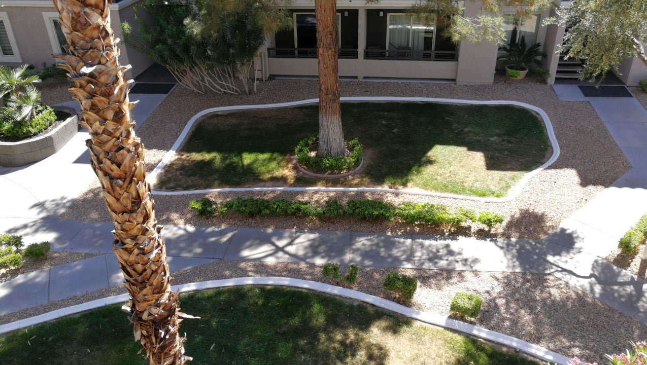 Gartenanlage Hotel Desert Rose Resort