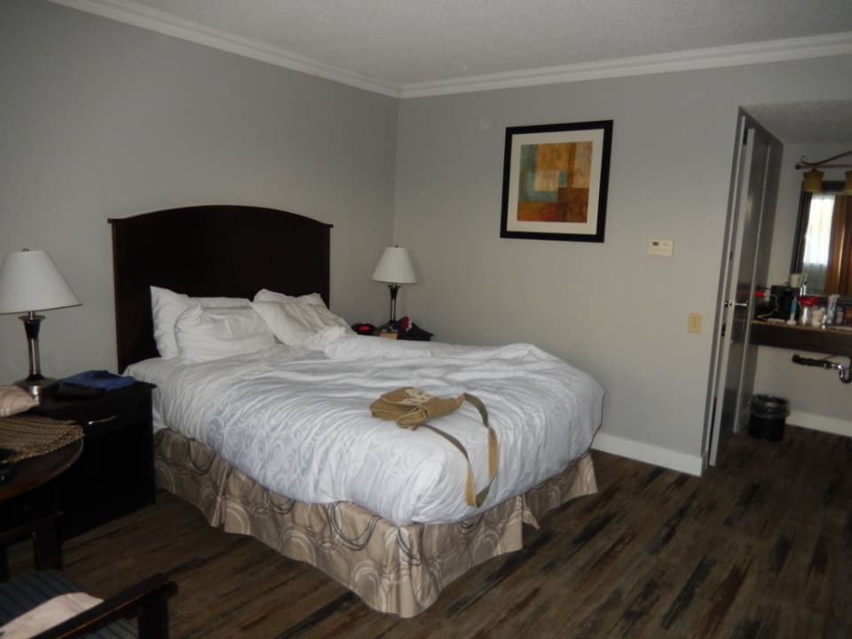 Zimmer Best Western Plus Burnaby Hotel