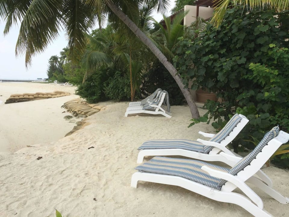 Ostseite, Stinke Säcke Summer Island Maldives