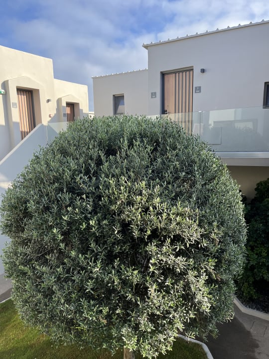 Außenansicht Nefeli Hotel Rethymno