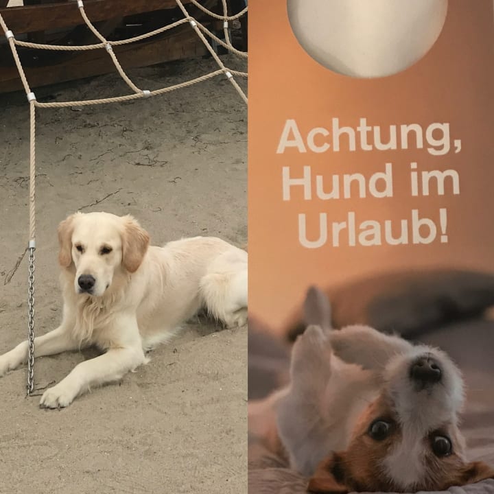 Zimmer aja Travemünde