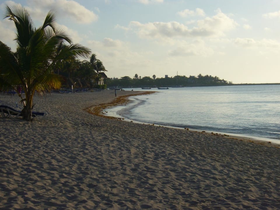 Badestrand Akumal Bay Beach & Wellness Resort