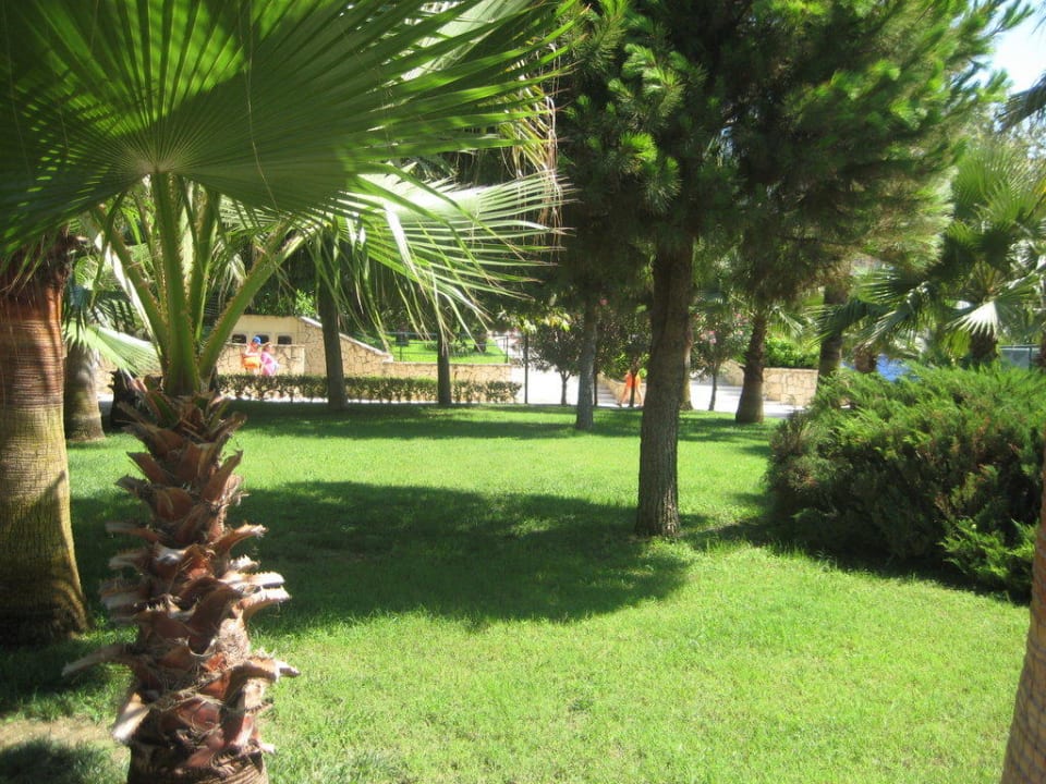 Gartenanlage Hotel Miramare Beach