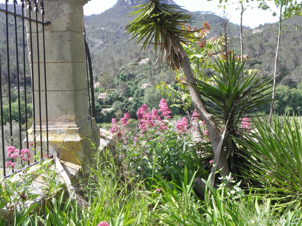 Gartenanlage Gran Hotel Son Net