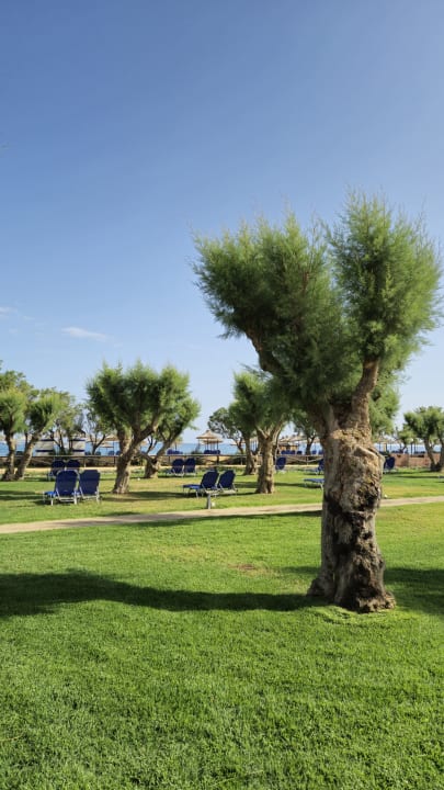 Gartenanlage Anissa Beach & Village