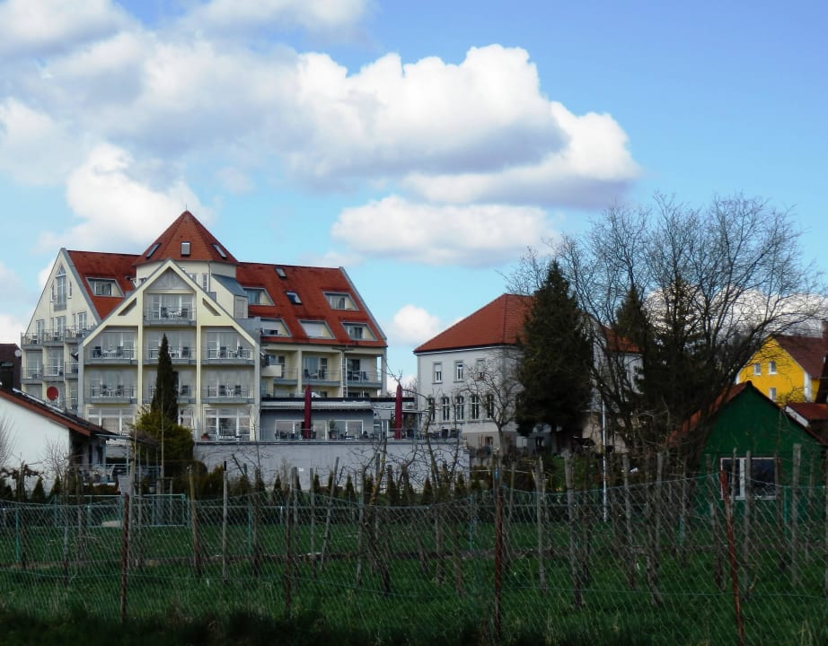 Blick von der Wiese aufs Hotel Hotel Traube am See