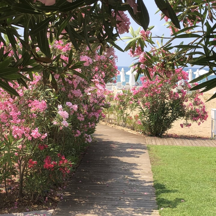 Gartenanlage Akra Sorgun Tui Blue Sensatori