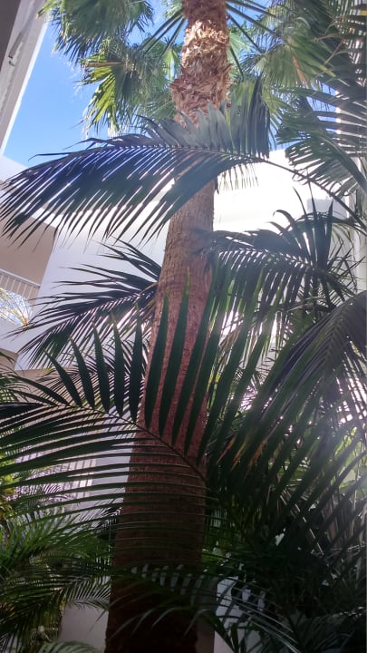 Außenansicht Hotel Riu Paraiso Lanzarote