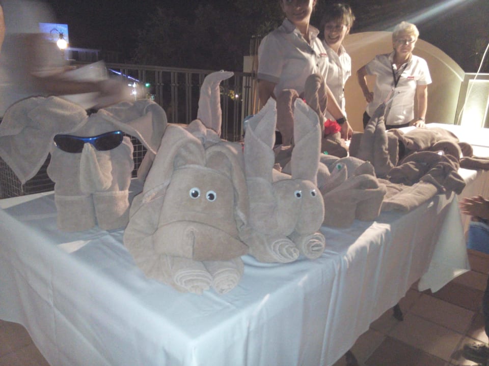 Präsentation des Servicepersonals GRIFID Vistamar