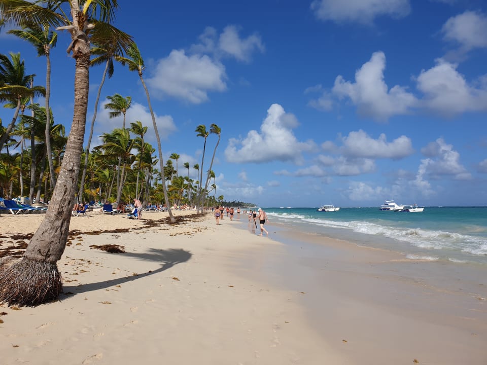 Strand Hotel Riu Palace Bavaro