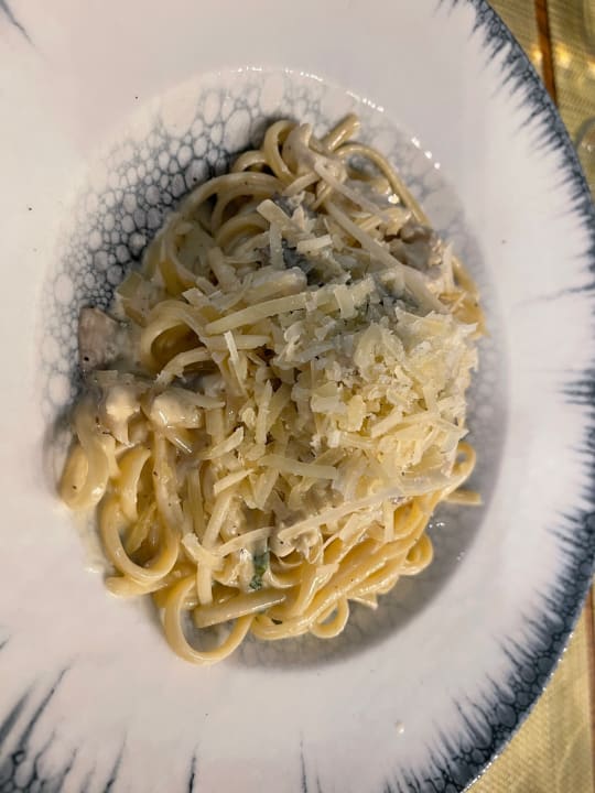 Gastro Acanthus Cennet Barut Collection