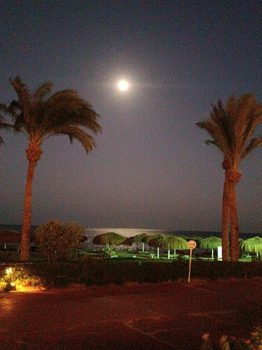 Strand Sentido Caribbean World Soma Bay