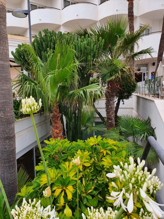 Sonstiges Hipotels Hipocampo Playa