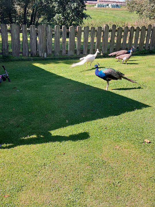 Gartenanlage Ferienhof Keks und Krümel