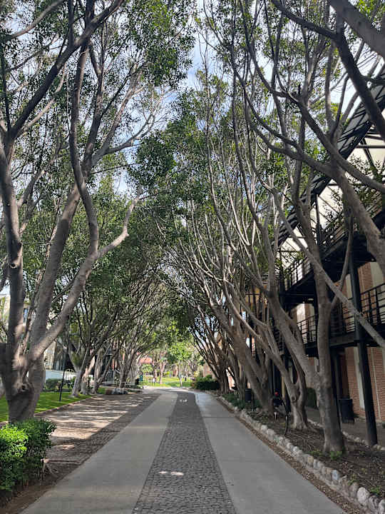 Gartenanlage Limak Limra Hotel & Resort