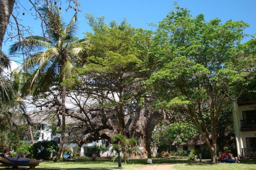 Baobab Hotel Papillon Lagoon Reef
