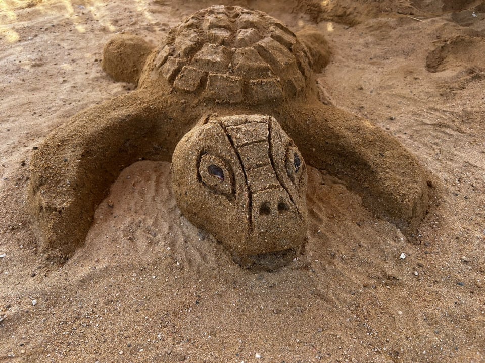 Sonstiges SUNRISE Anjum Resort Marsa Alam