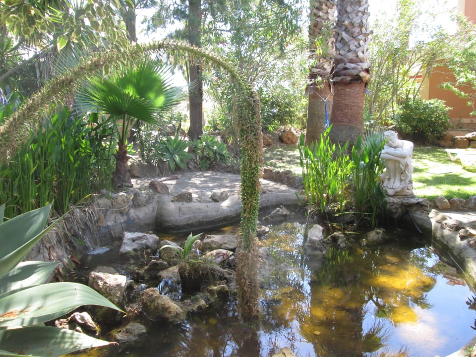 Froschteich Quinta do Mar - Country & Sea Village